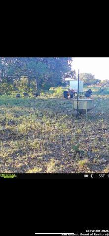 104 Sd 14070 Rocksprings TX 78880