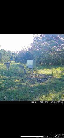 104 Sd 14070 Rocksprings TX 78880