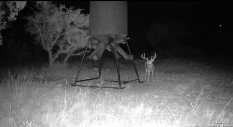 104 Sd 14070 Rocksprings TX 78880