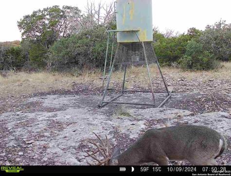 104 Sd 14070 Rocksprings TX 78880