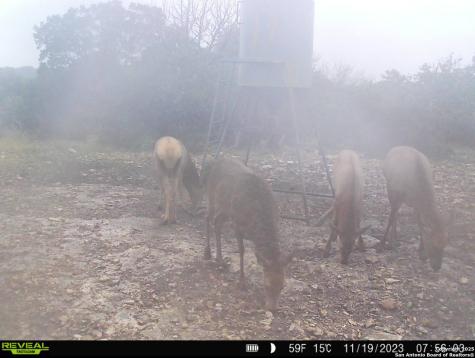 104 Sd 14070 Rocksprings TX 78880
