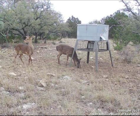 104 Sd 14070 Rocksprings TX 78880
