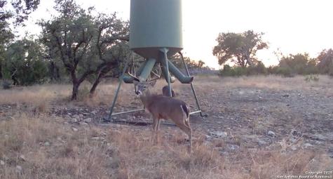 104 Sd 14070 Rocksprings TX 78880