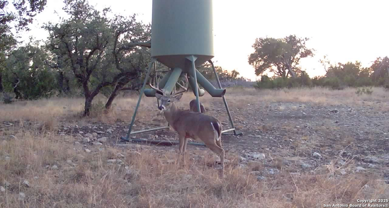 104 Sd 14070 Rocksprings TX 78880