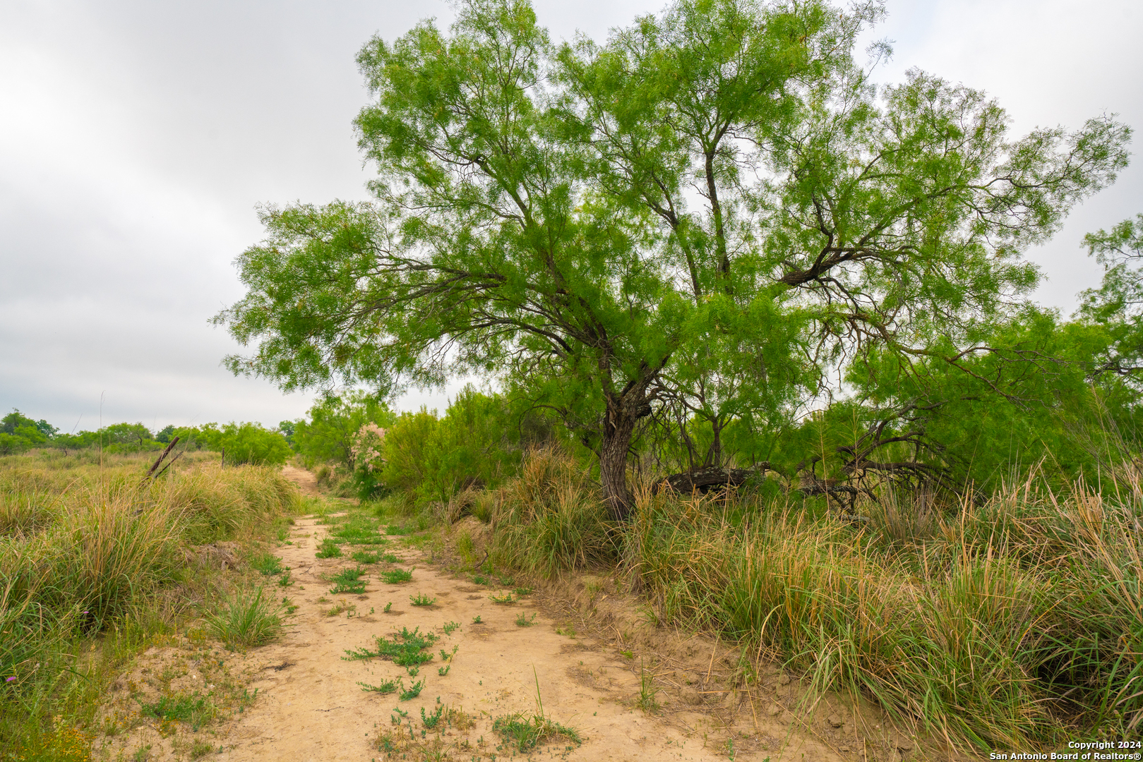 16131 El Indio Highway El Indio TX 78852