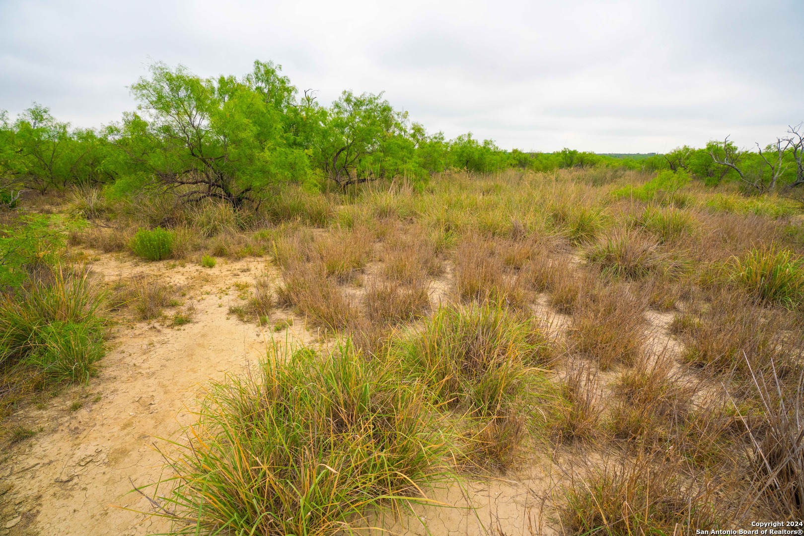 16131 El Indio Highway El Indio TX 78852