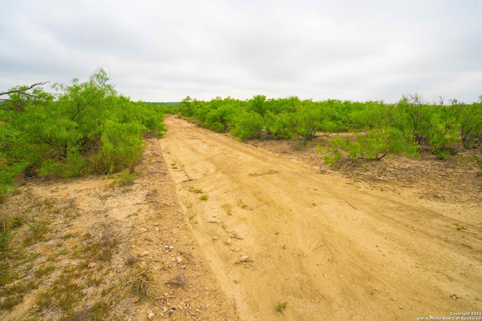 16131 El Indio Highway El Indio TX 78852