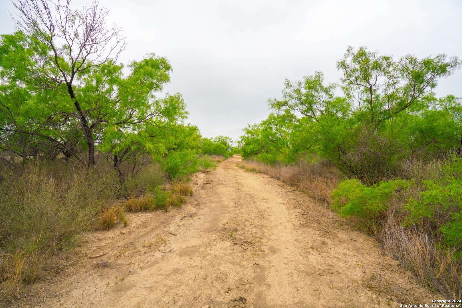 16131 El Indio Highway El Indio TX 78852