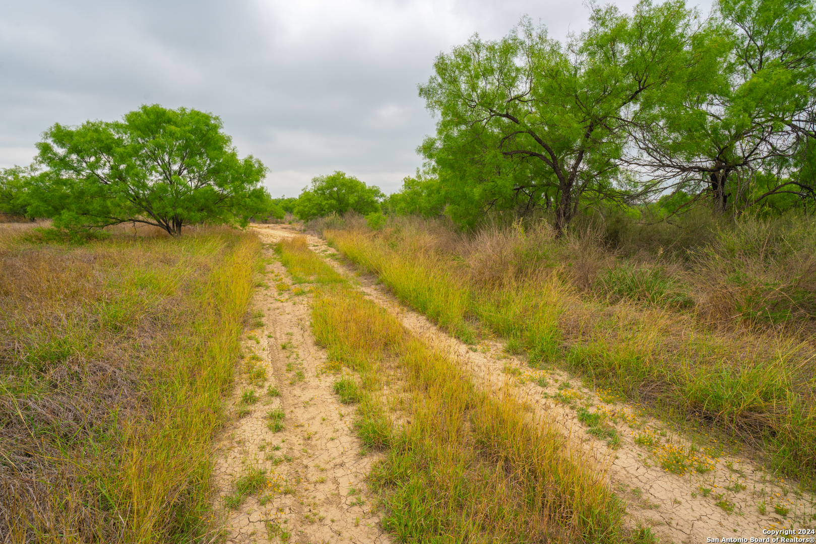 16131 El Indio Highway El Indio TX 78852
