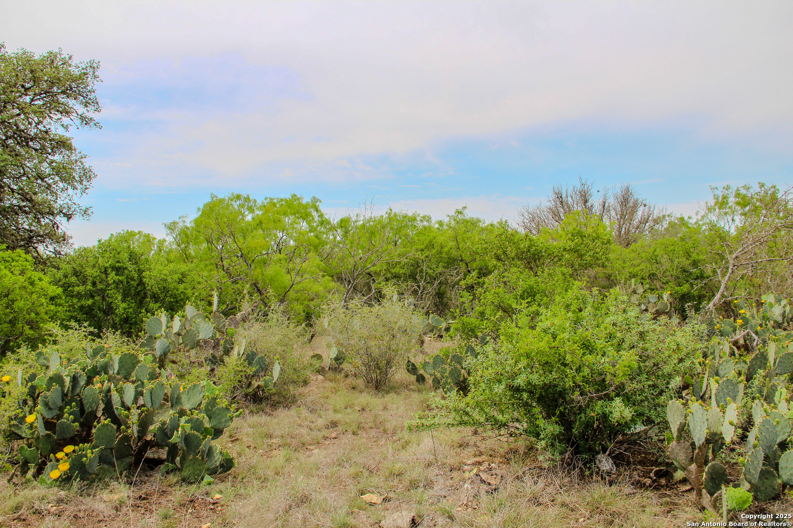 Tbd Cr 341 Hondo TX 78861