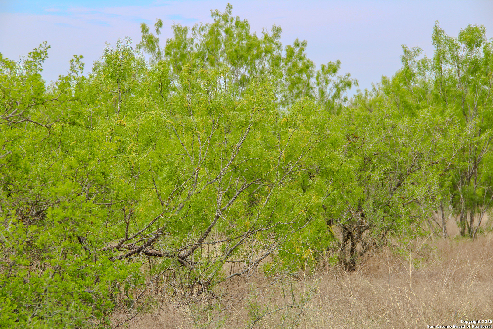 Tbd Cr 341 Hondo TX 78861