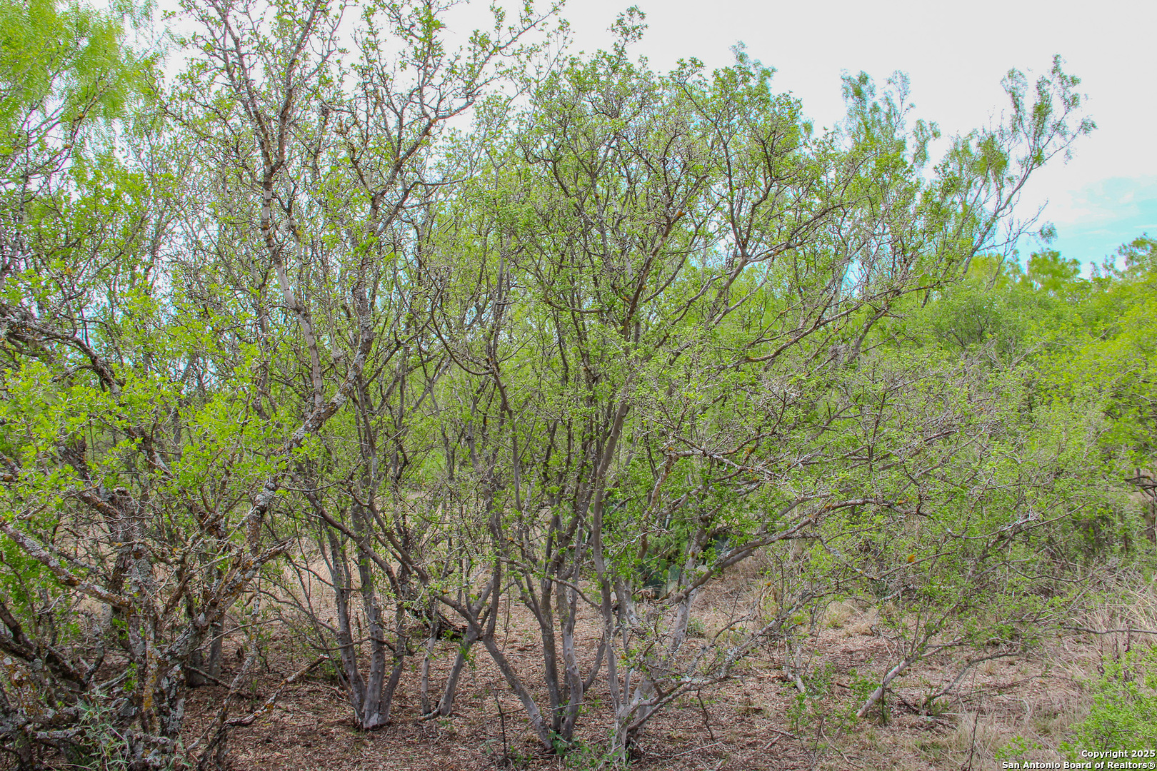 Tbd Cr 341 Hondo TX 78861