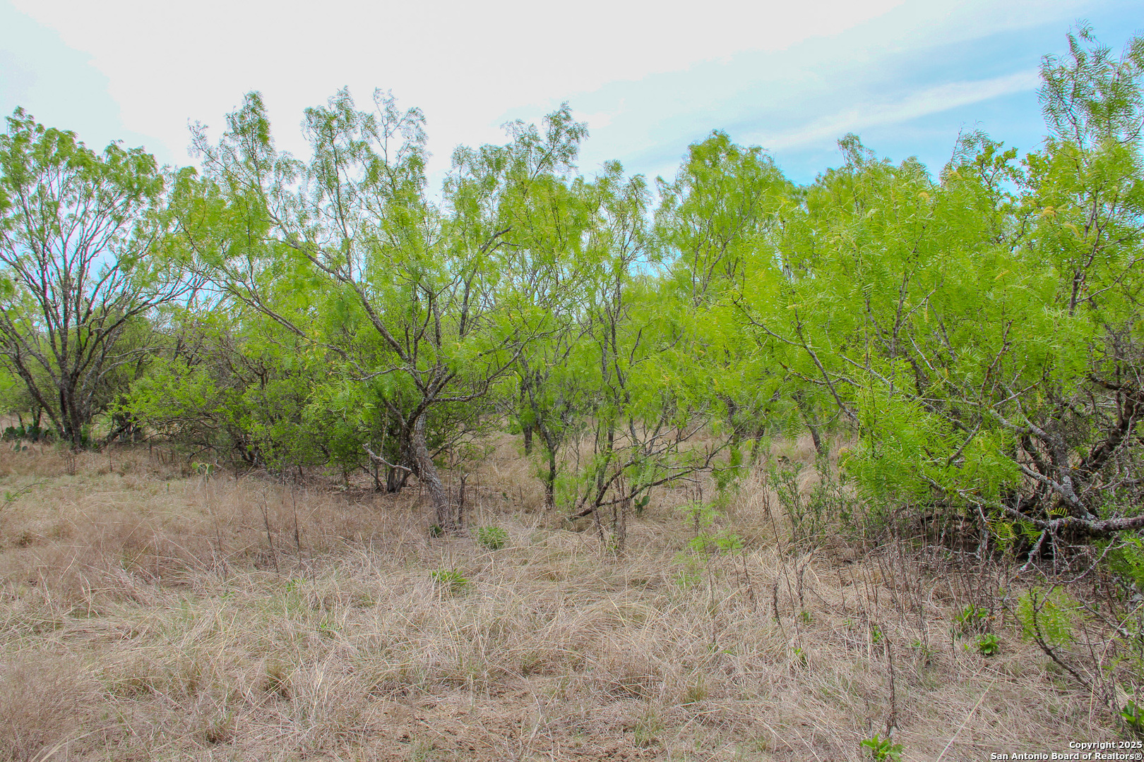 Tbd Cr 341 Hondo TX 78861