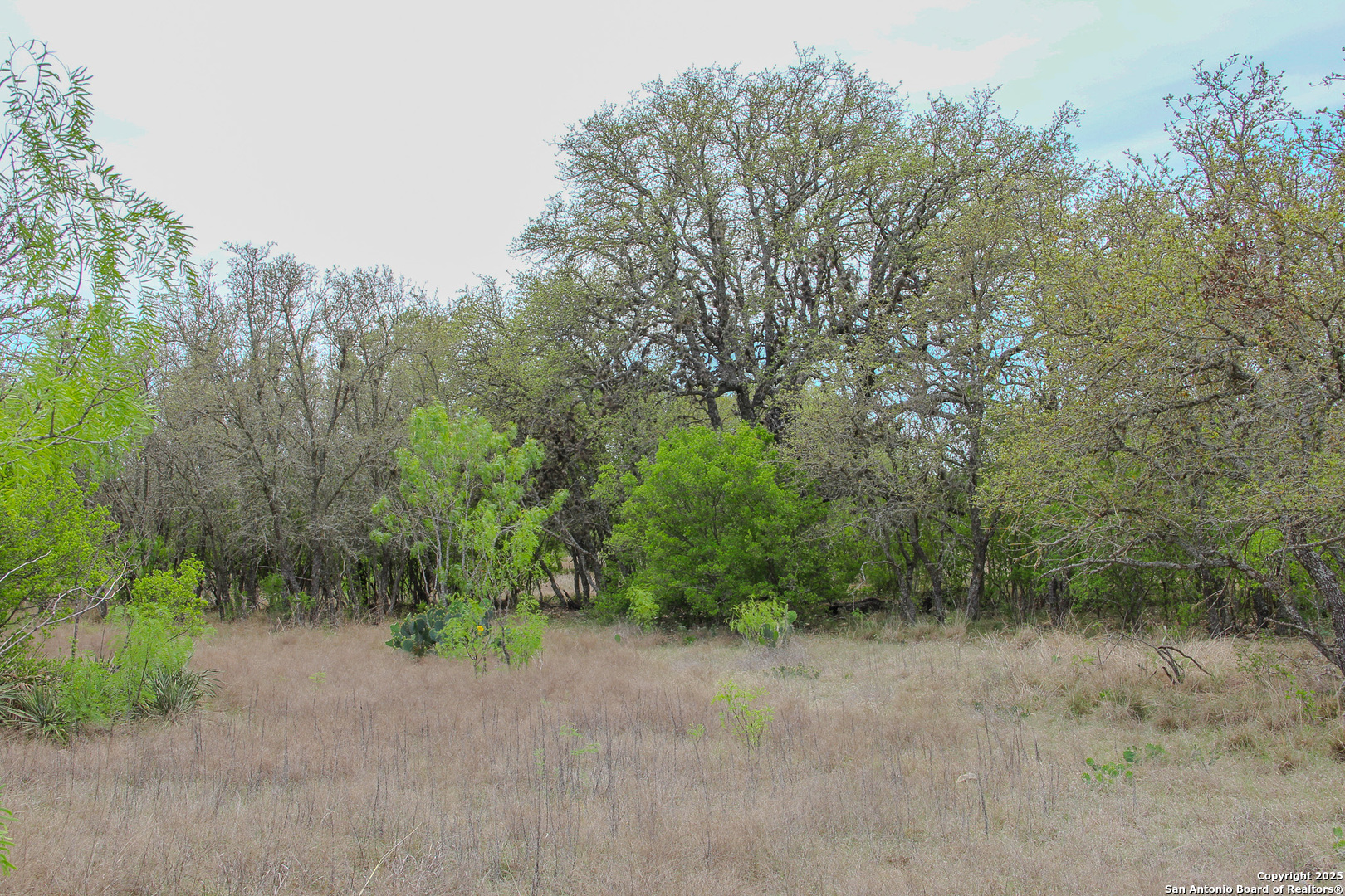 Tbd Cr 341 Hondo TX 78861