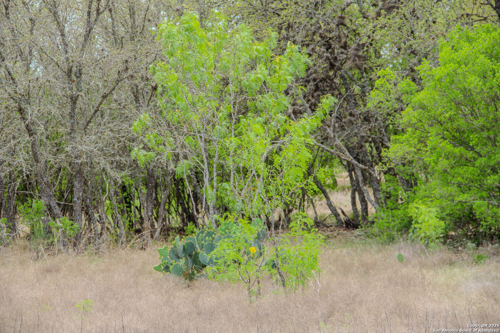 Tbd Cr 341 Hondo TX 78861