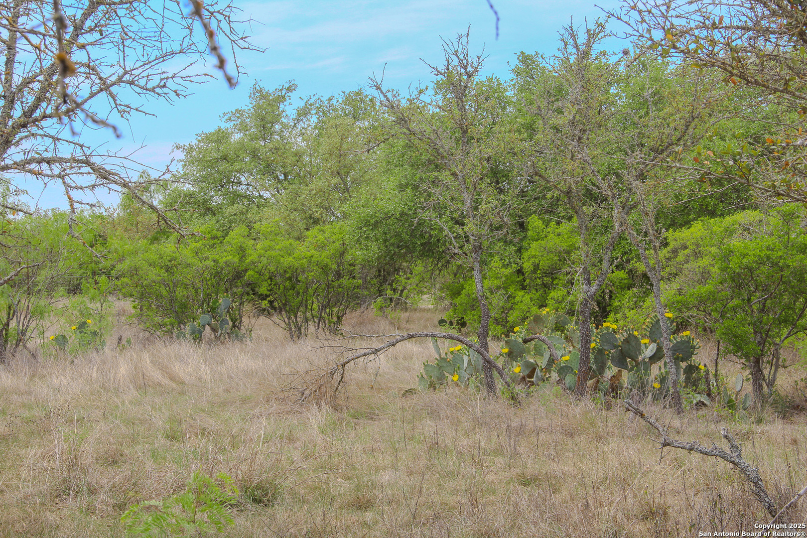 Tbd Cr 341 Hondo TX 78861
