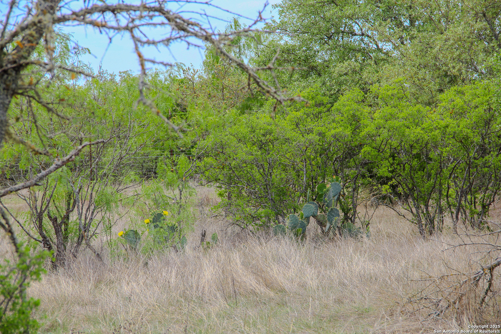 Tbd Cr 341 Hondo TX 78861