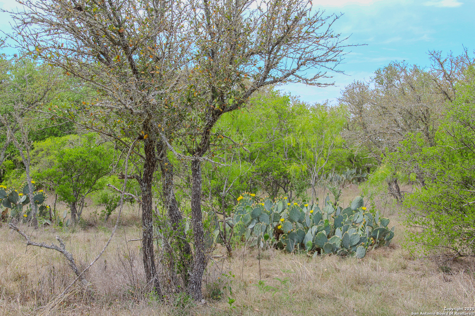 Tbd Cr 341 Hondo TX 78861