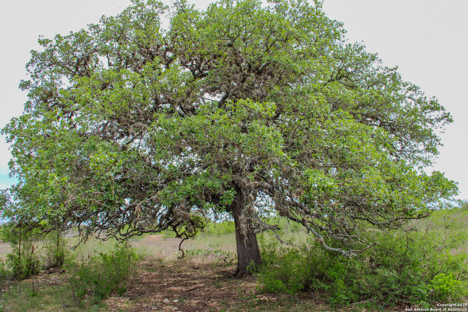 Tbd Cr 341 Hondo TX 78861