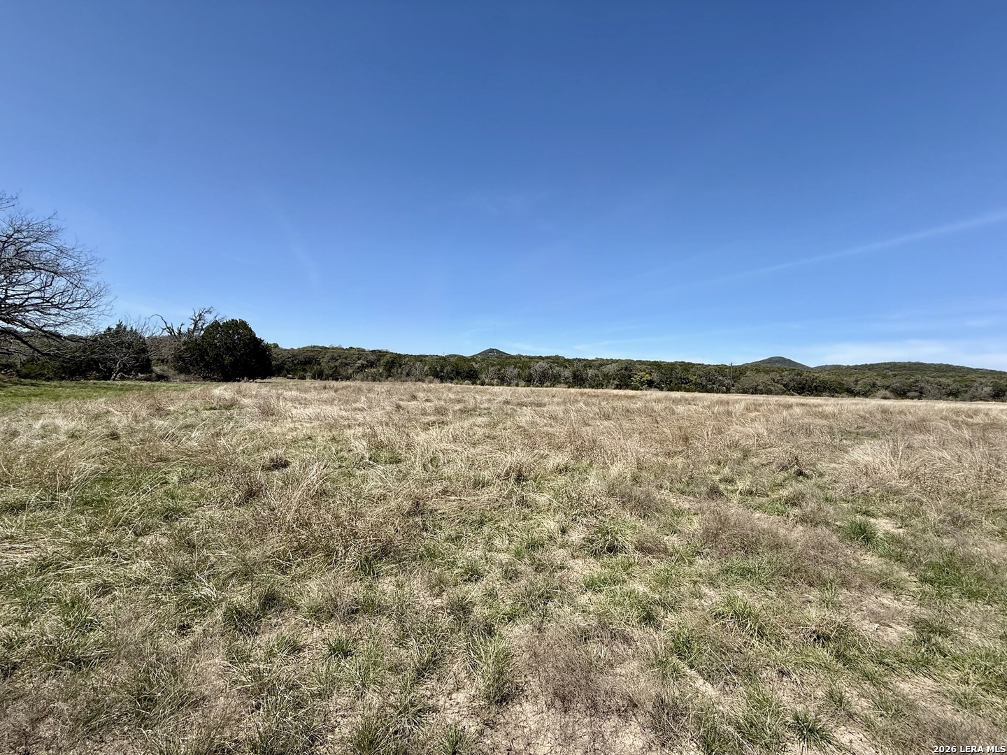 3320 Privilege Creek Pipe Creek TX 78063