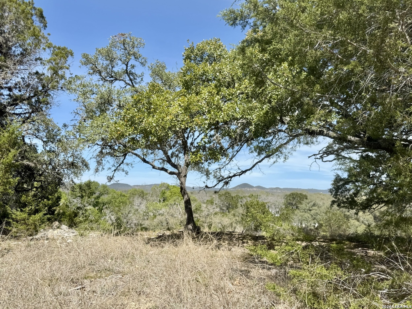 3320 Privilege Creek Pipe Creek TX 78063