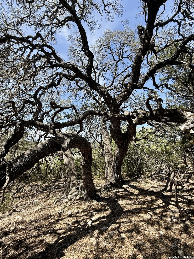 3320 Privilege Creek Pipe Creek TX 78063