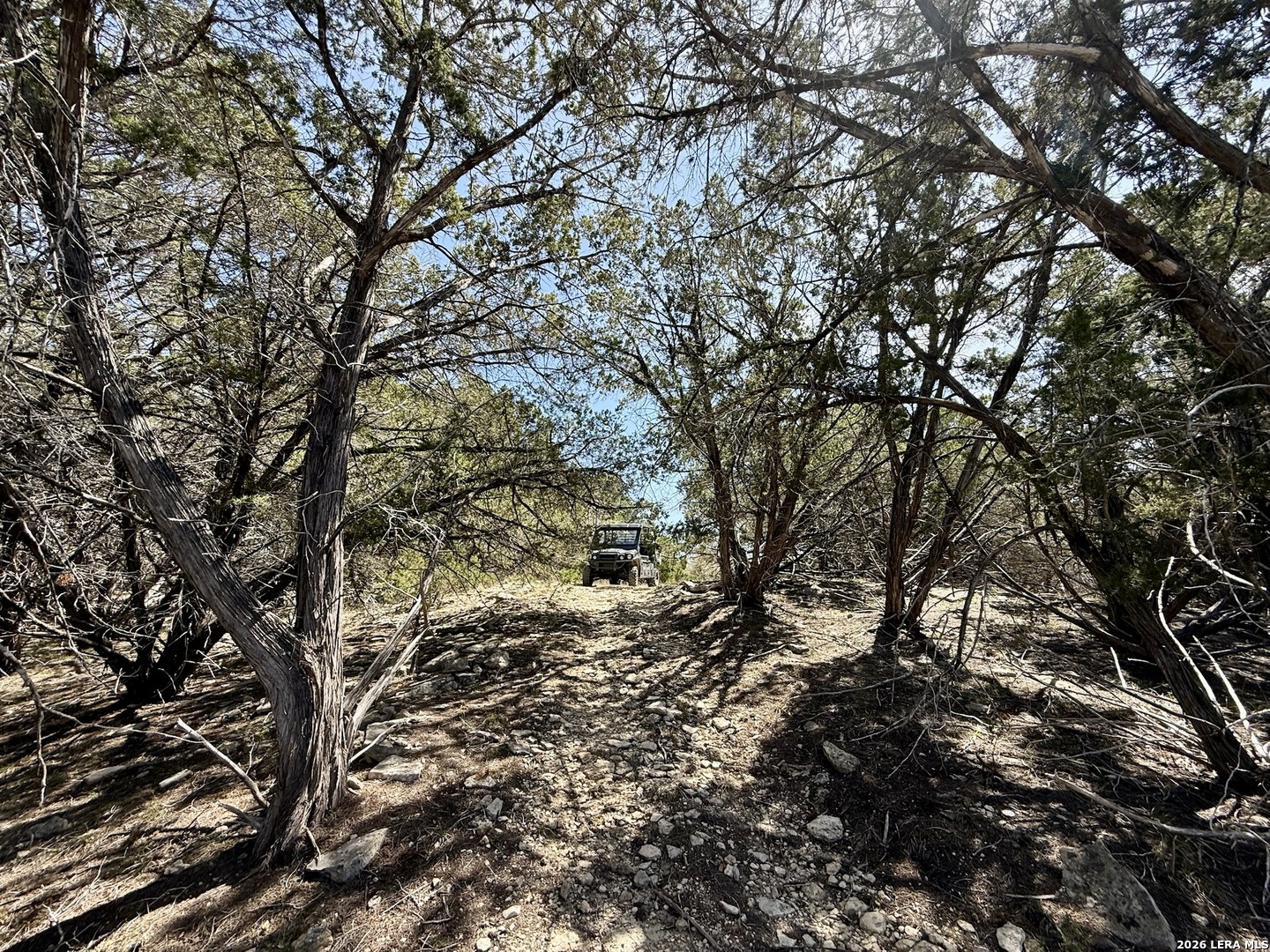 3320 Privilege Creek Pipe Creek TX 78063