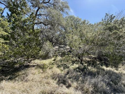 3320 Privilege Creek Pipe Creek TX 78063