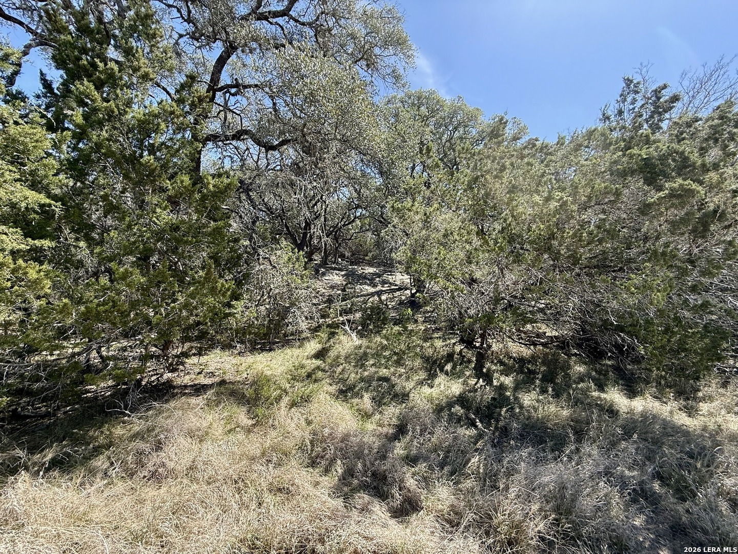 3320 Privilege Creek Pipe Creek TX 78063