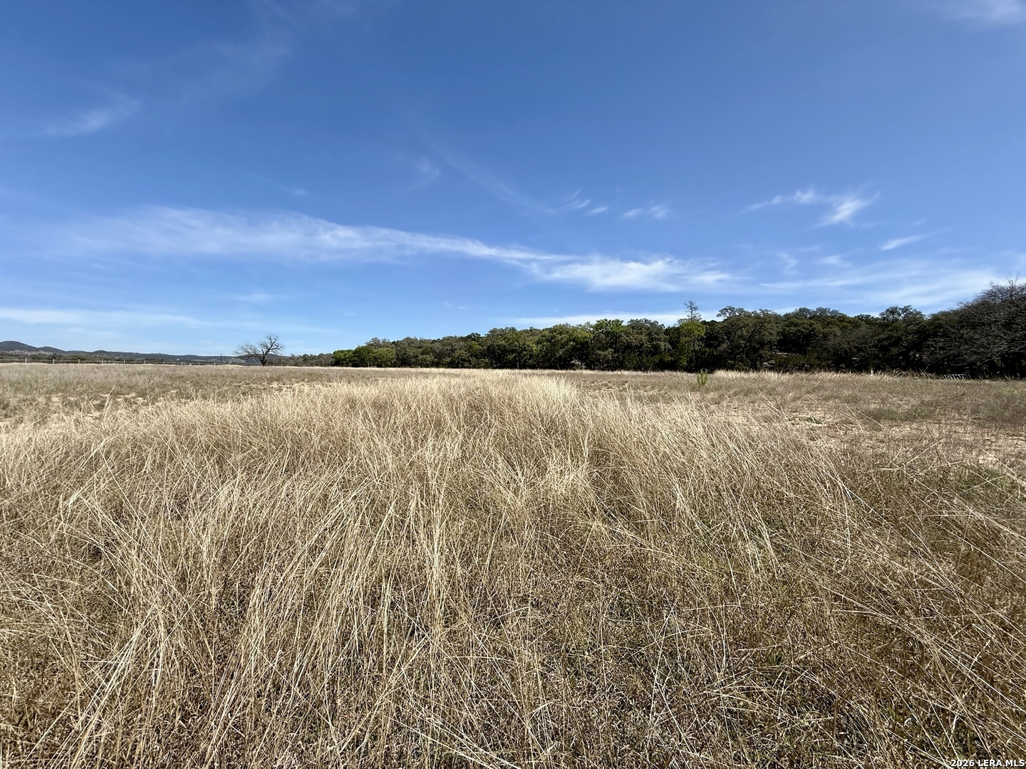 3320 Privilege Creek Pipe Creek TX 78063