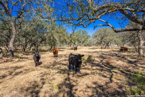 4772-1 County Road 340 Burnet TX 76905