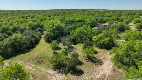 48.25 ACRES County Road 114 George West TX 78466