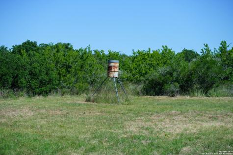 48.25 Acres County Road 114 George West TX 78466