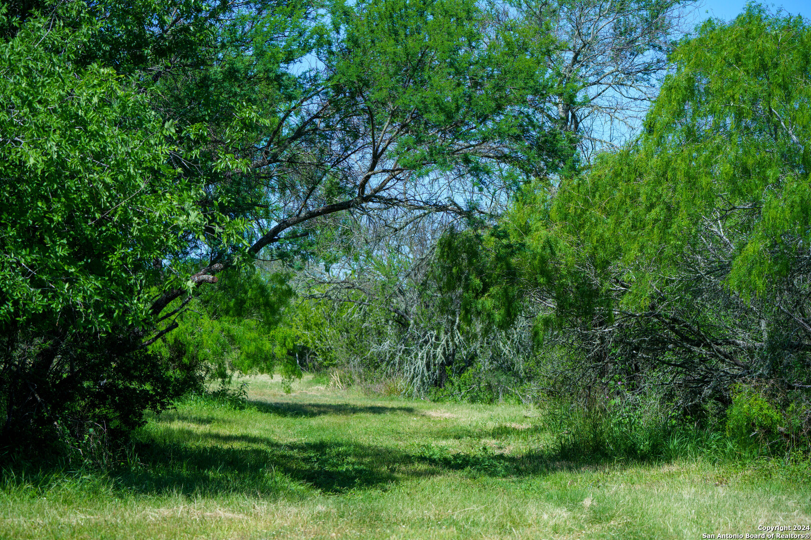 48.25 Acres County Road 114 George West TX 78466
