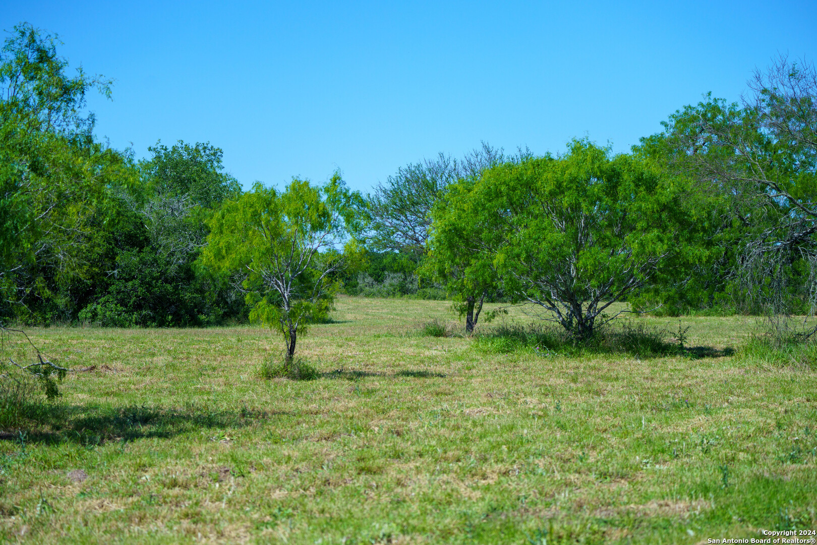 48.25 Acres County Road 114 George West TX 78466