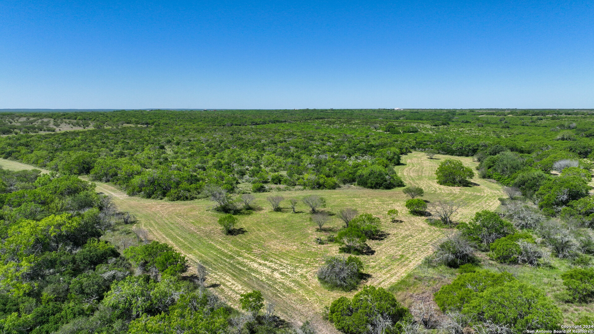 48.25 Acres County Road 114 George West TX 78466