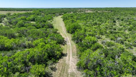 48.25 Acres County Road 114 George West TX 78466
