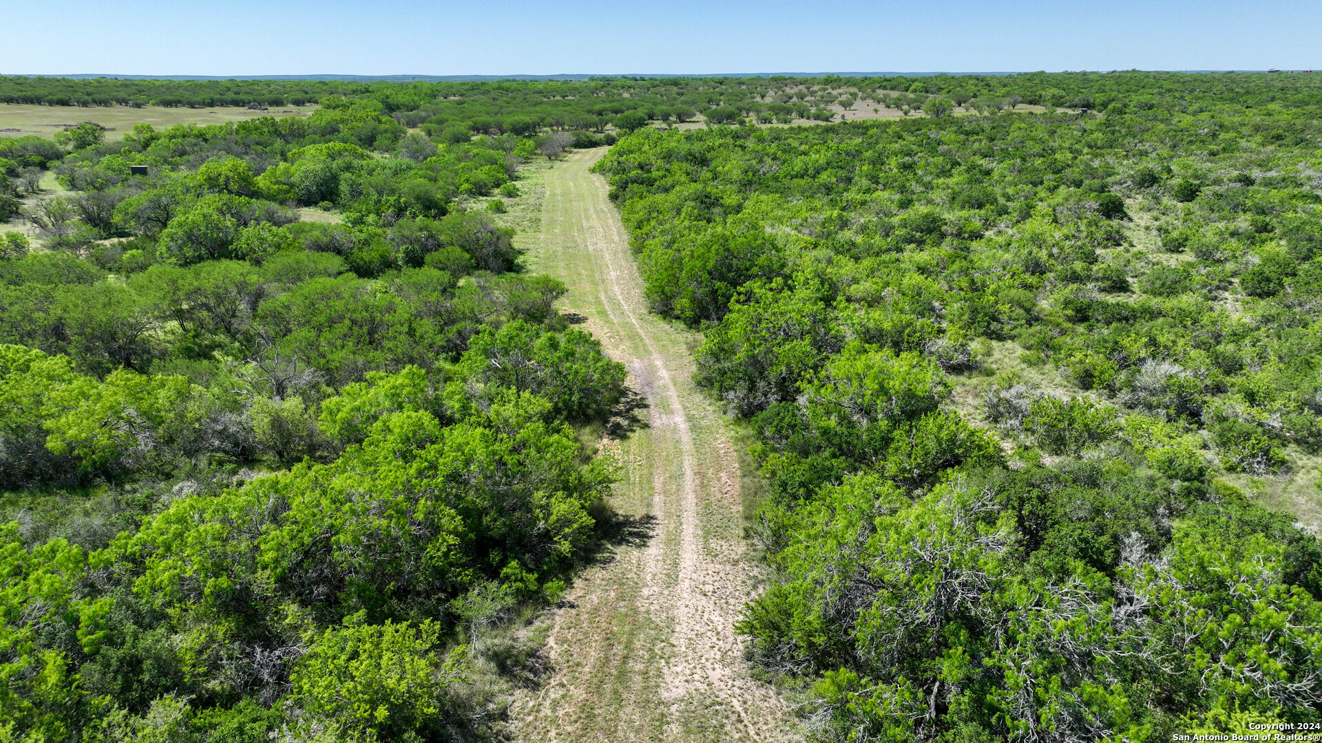 48.25 Acres County Road 114 George West TX 78466