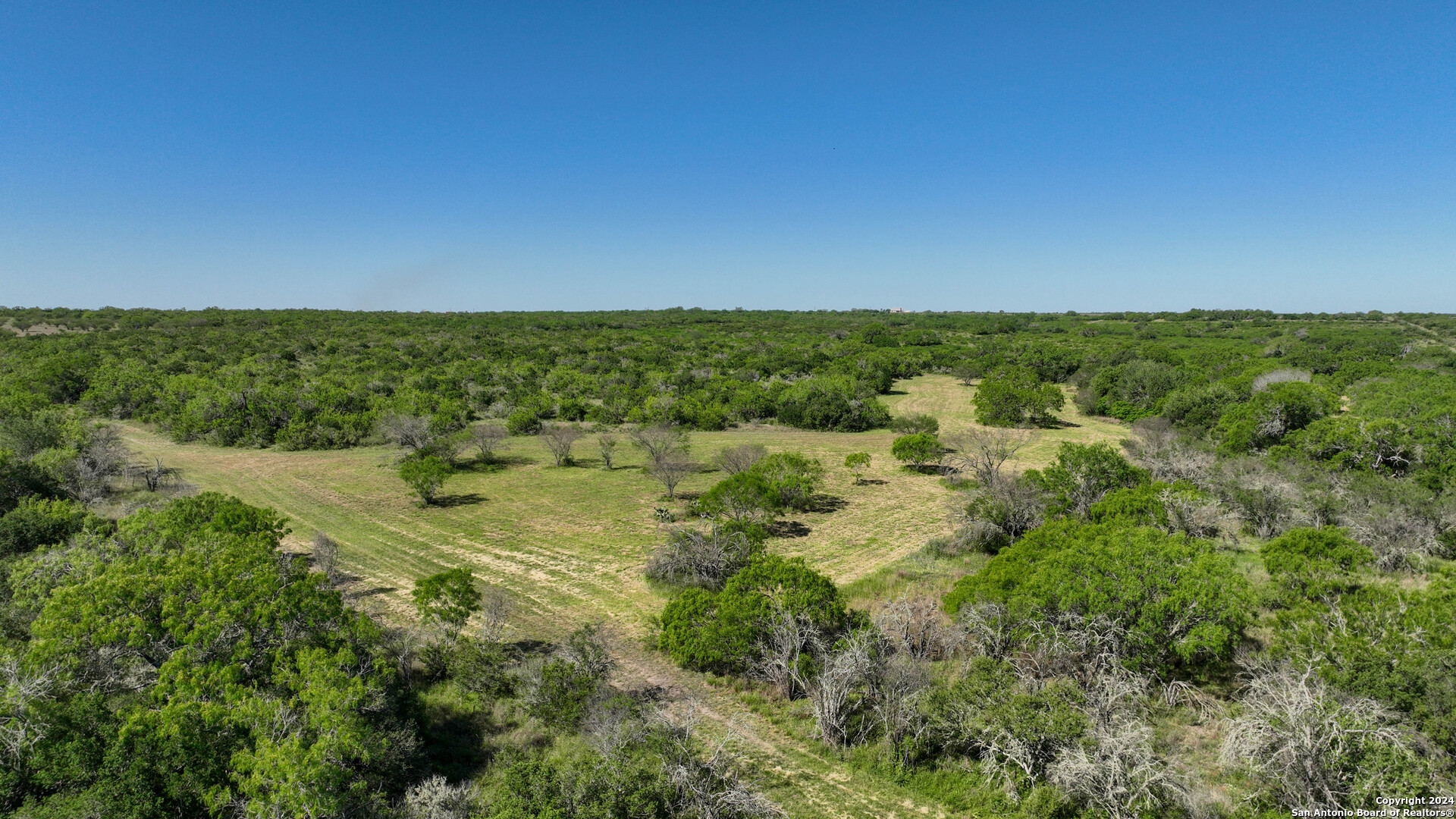48.25 Acres County Road 114 George West TX 78466