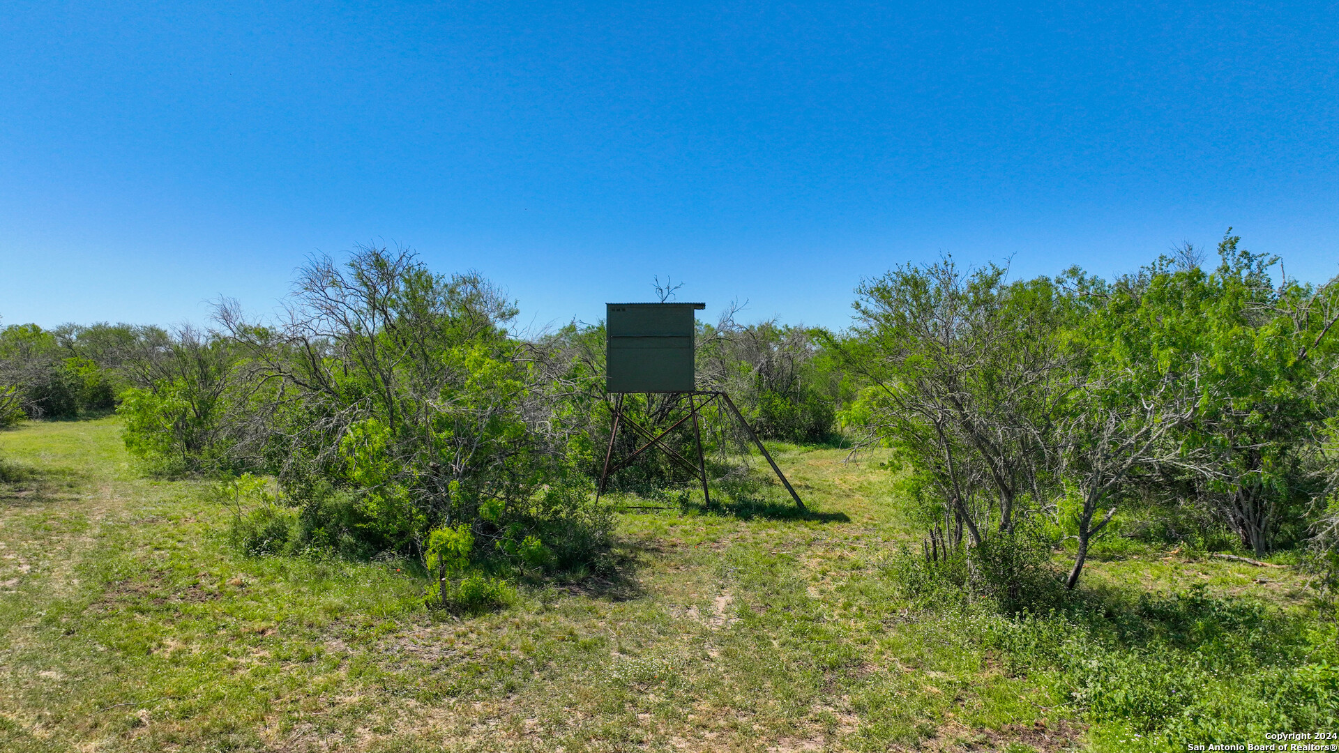 48.25 Acres County Road 114 George West TX 78466