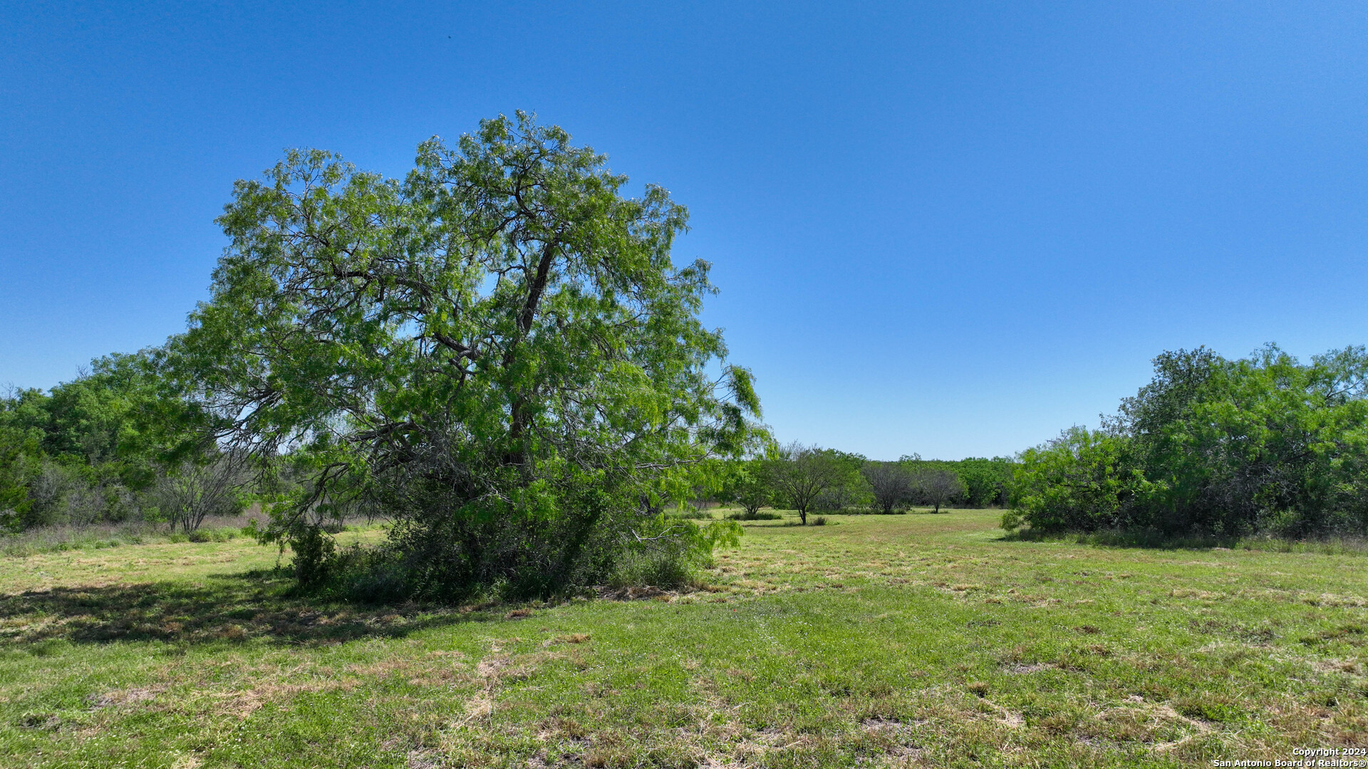 48.25 Acres County Road 114 George West TX 78466