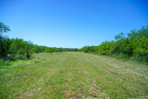 48.25 Acres County Road 114 George West TX 78466