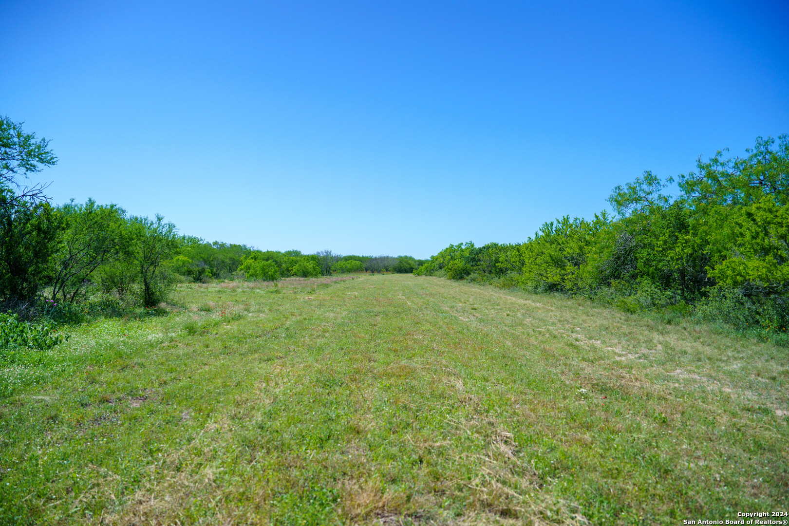 48.25 Acres County Road 114 George West TX 78466