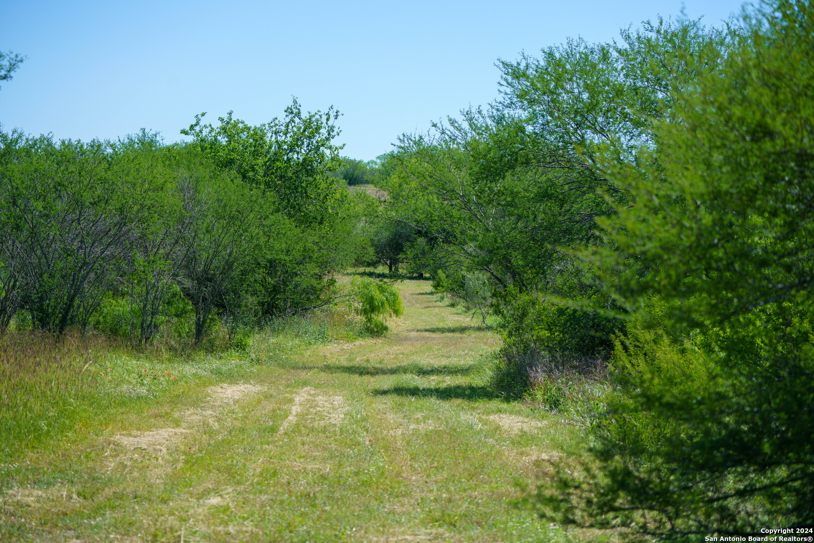 48.25 Acres County Road 114 George West TX 78466