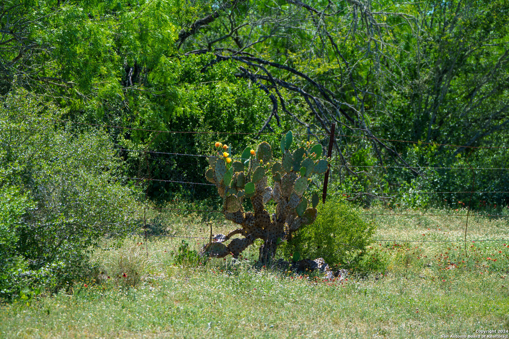 48.25 Acres County Road 114 George West TX 78466