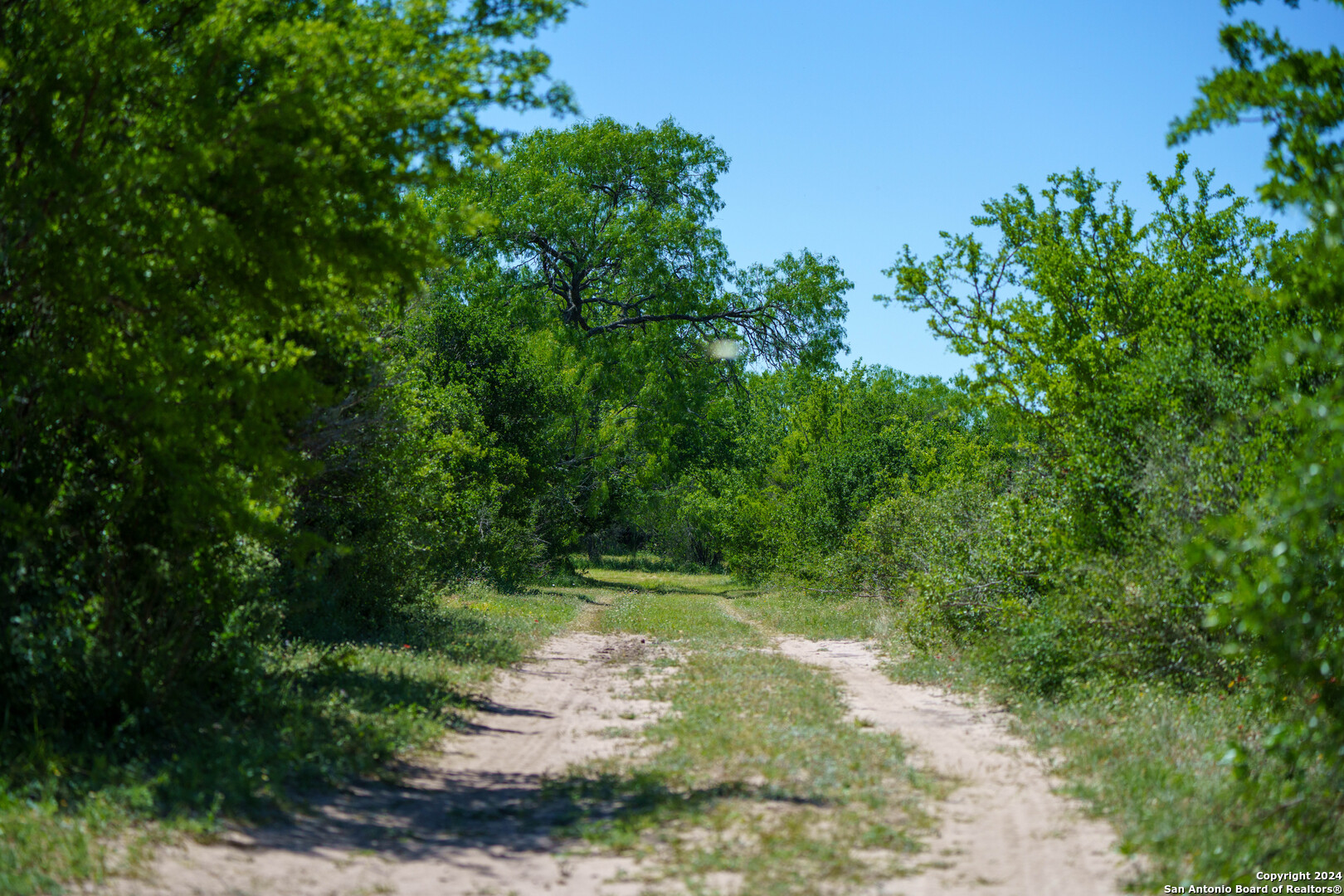 48.25 Acres County Road 114 George West TX 78466