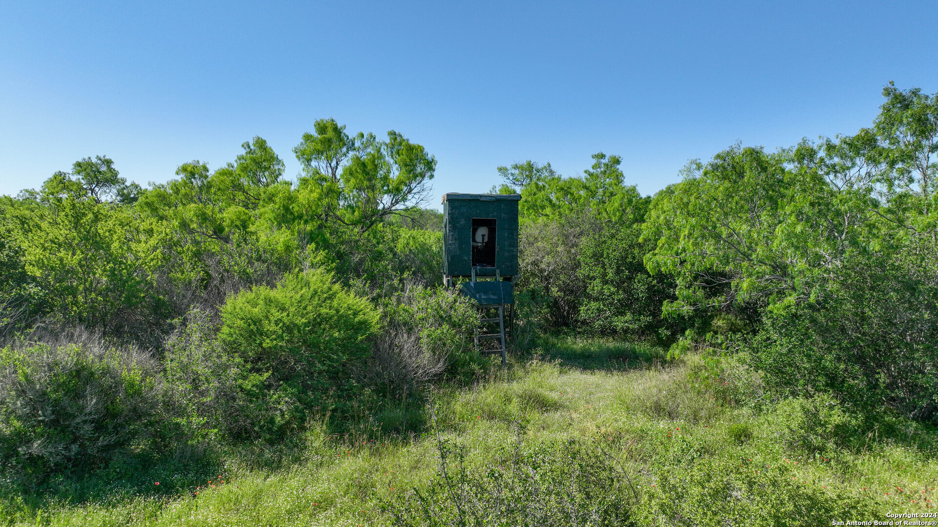 48.25 Acres County Road 114 George West TX 78466