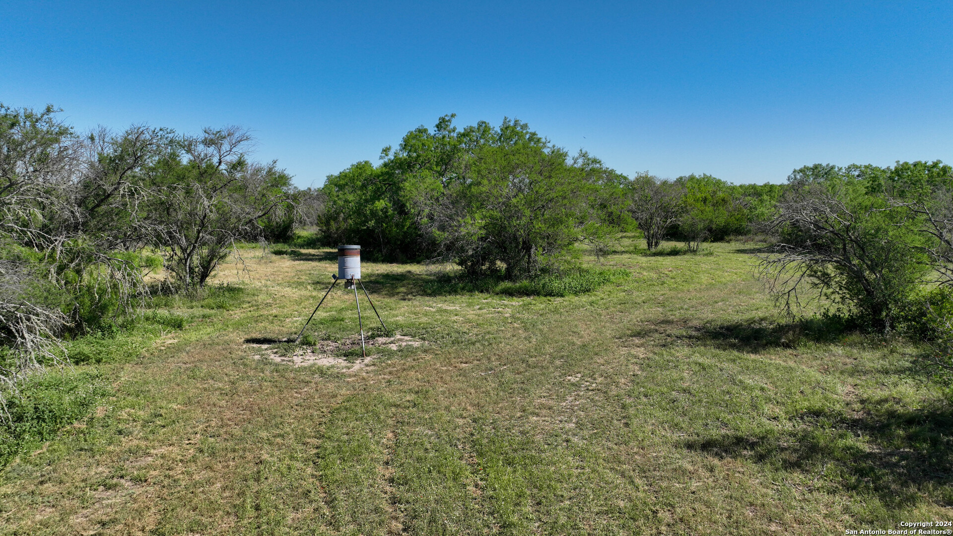 48.25 Acres County Road 114 George West TX 78466