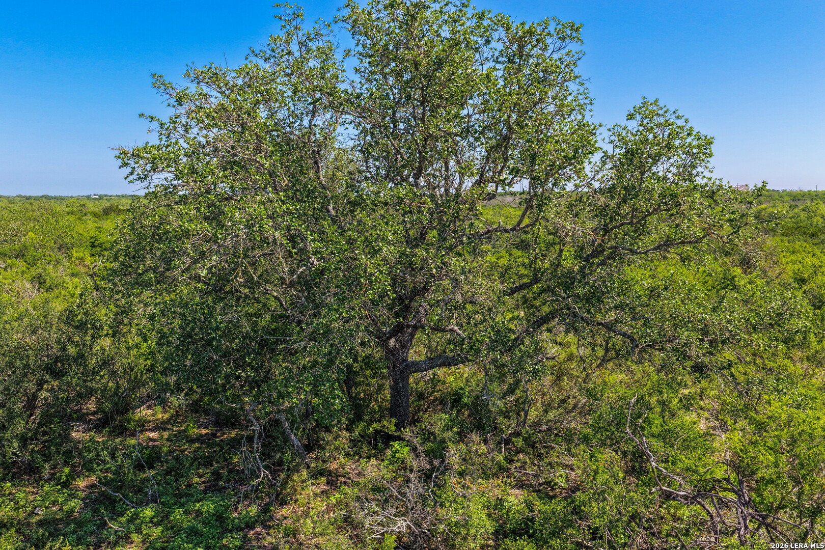 000 Private Road 5754 Castroville TX 78009