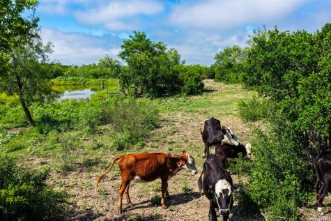 000 Private Road 5754 Castroville TX 78009